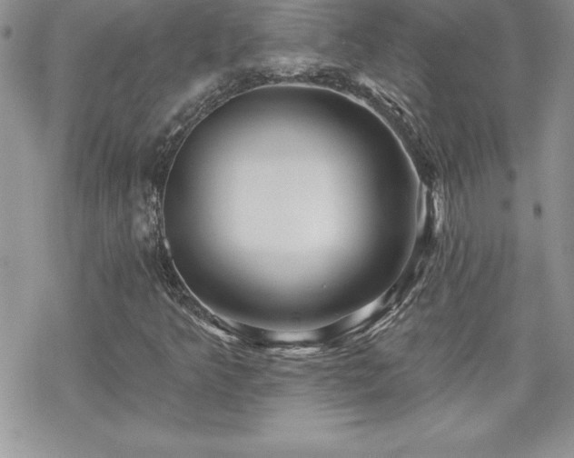 X0000070421349200606121335