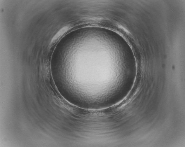X0000070421354200606121335