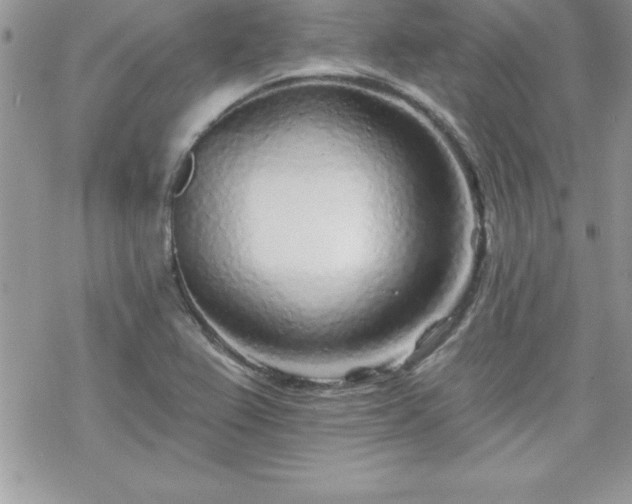 X0000070421367200606121335