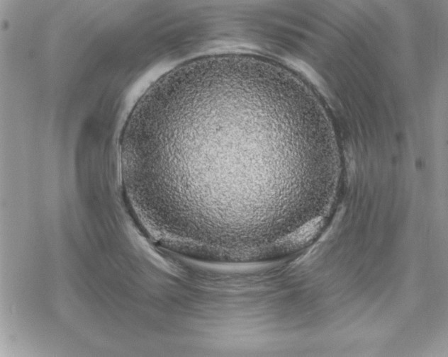 X0000070421371200606121335