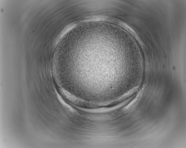 X0000070421433200606121334