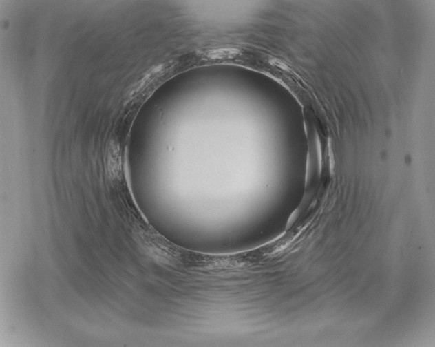 X0000070421443200606121334