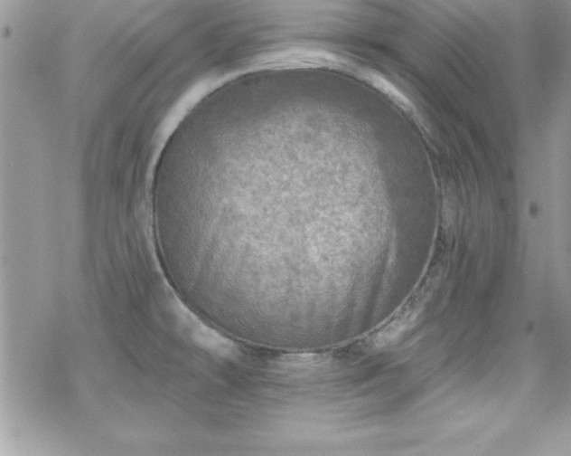 X0000070421478200606121333