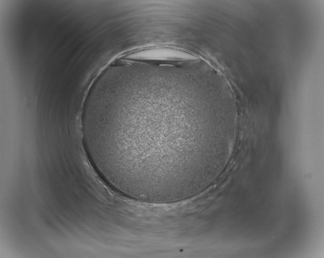 X0000070420002200606161450