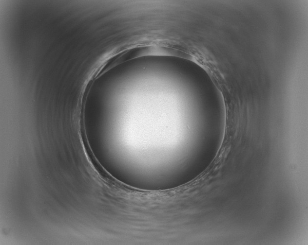 X0000070420003200606161450