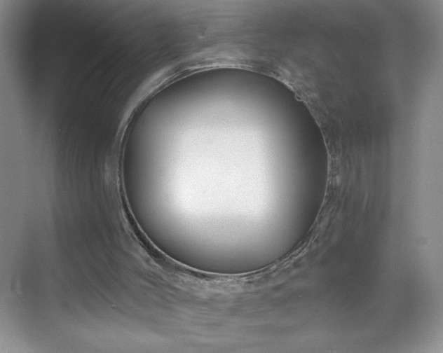 X0000070420004200606161450