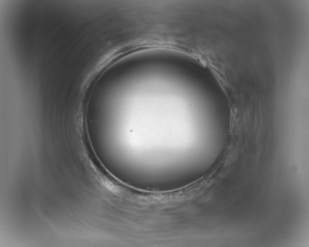 X0000070420005200606161450