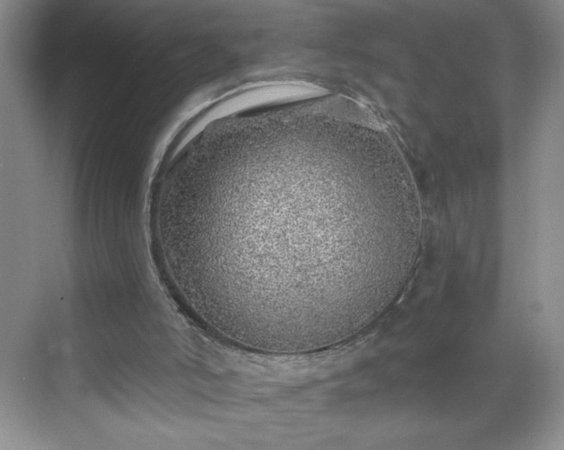 X0000070420006200606161450