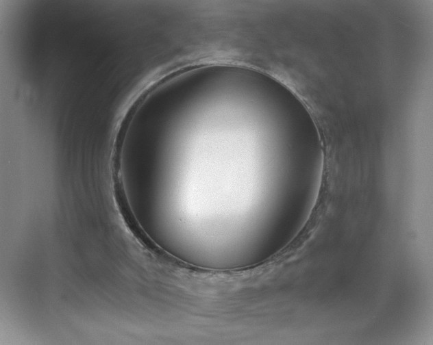 X0000070420007200606161450