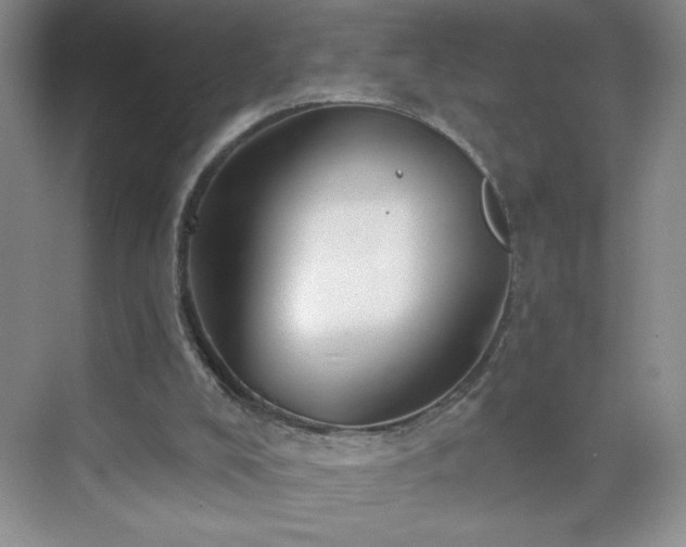 X0000070420008200606161450