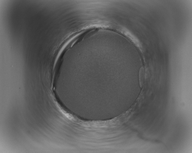 X0000070420009200606161450