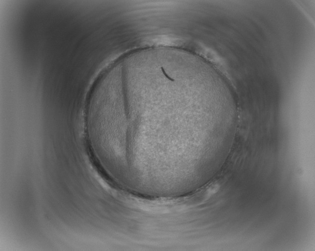 X0000070420012200606161450