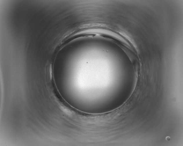 X0000070420013200606161450