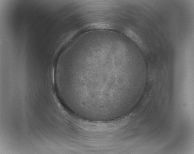 X0000070420014200606161450