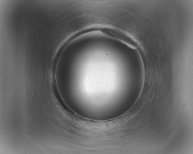 X0000070420015200606161450