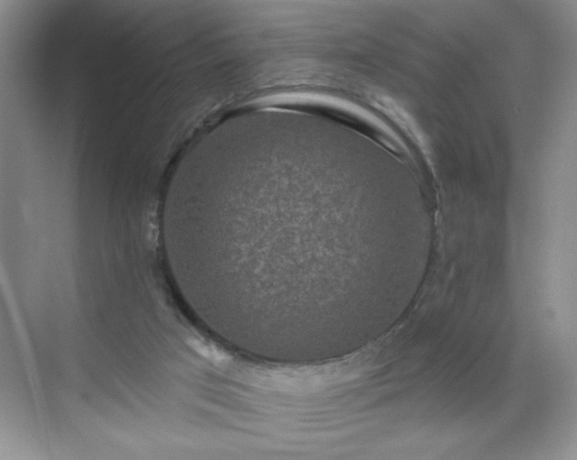 X0000070420017200606161450