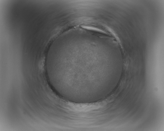 X0000070420018200606161450