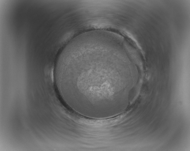 X0000070420019200606161450