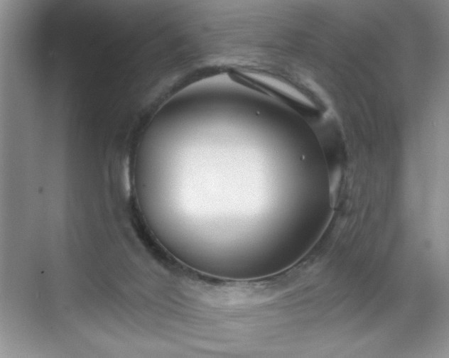 X0000070420020200606161450