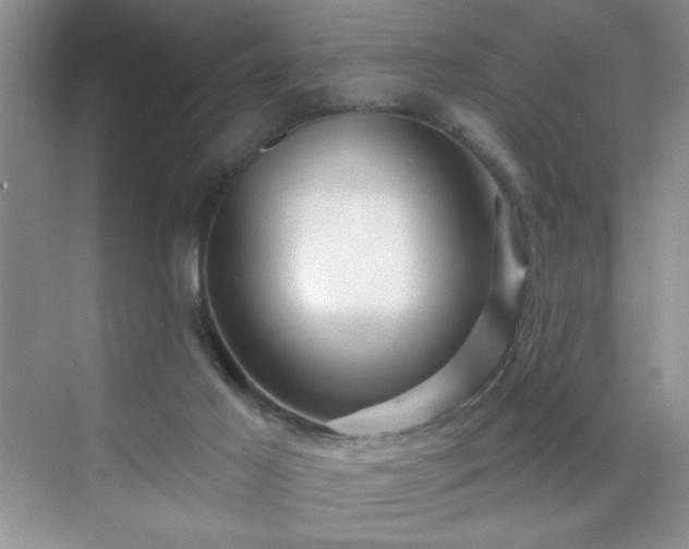 X0000070420021200606161450