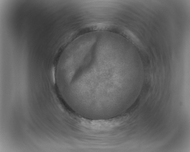 X0000070420022200606161450