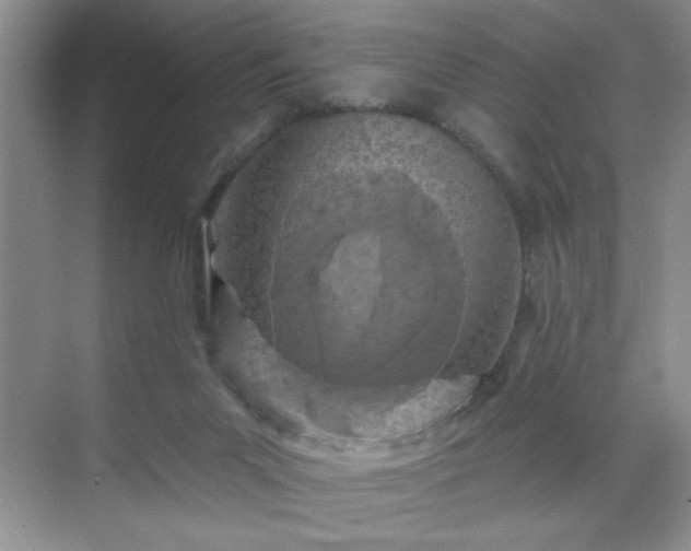 X0000070420023200606161450