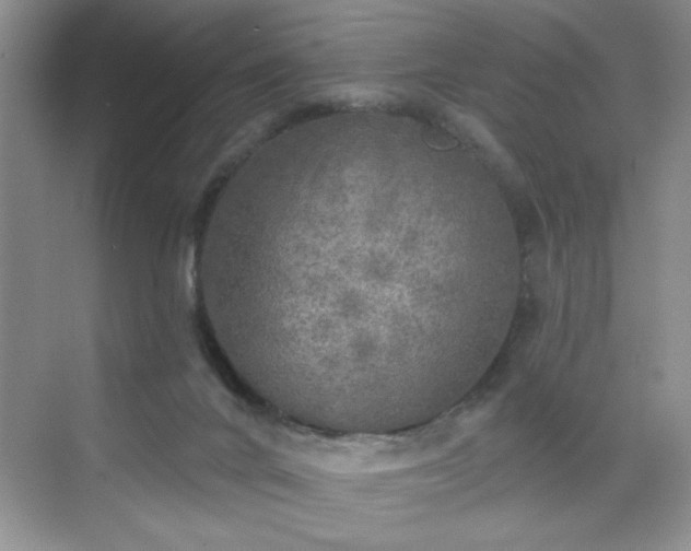 X0000070420024200606161450