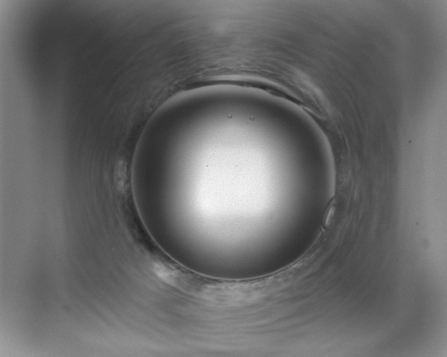 X0000070420025200606161450