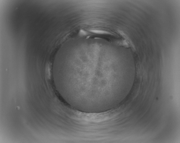 X0000070420026200606161449