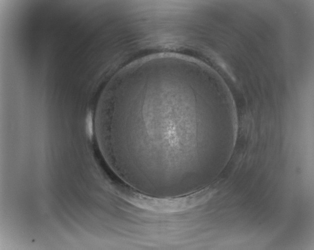 X0000070420027200606161449