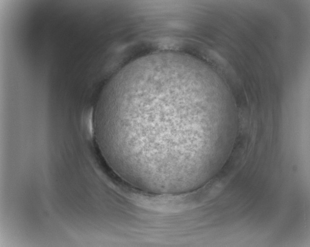 X0000070420028200606161449