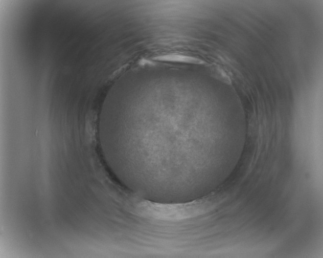 X0000070420030200606161449