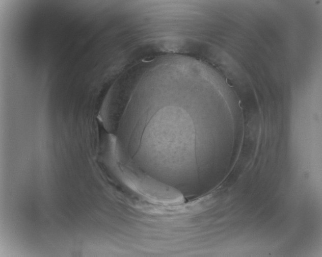 X0000070420031200606161449