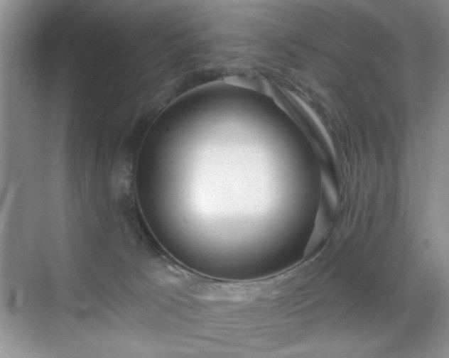 X0000070420033200606161449