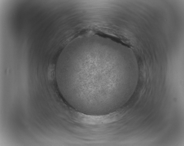 X0000070420034200606161449