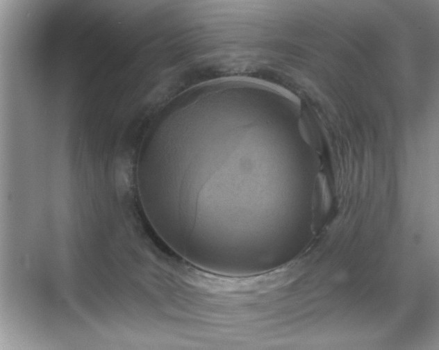 X0000070420035200606161449