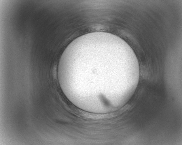 X0000070420036200606161449