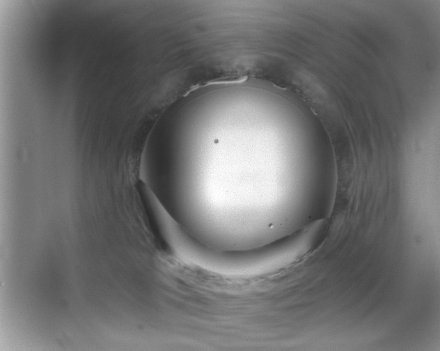 X0000070420037200606161449