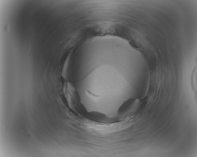 X0000070420039200606161449