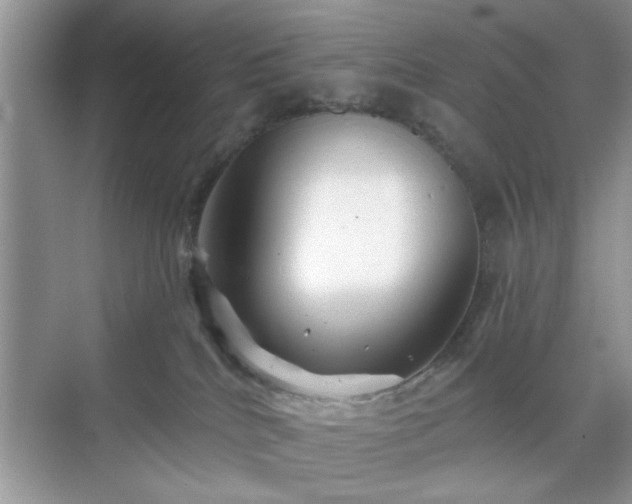 X0000070420040200606161449