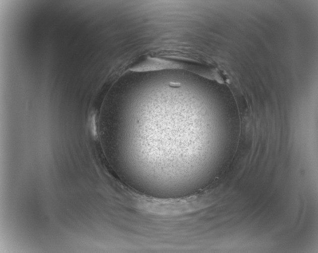 X0000070420042200606161449