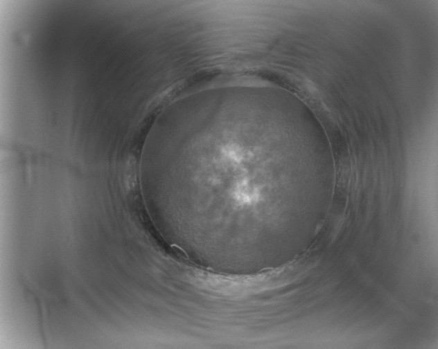 X0000070420043200606161449