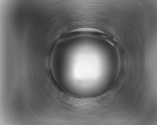 X0000070420044200606161449