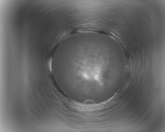 X0000070420047200606161449