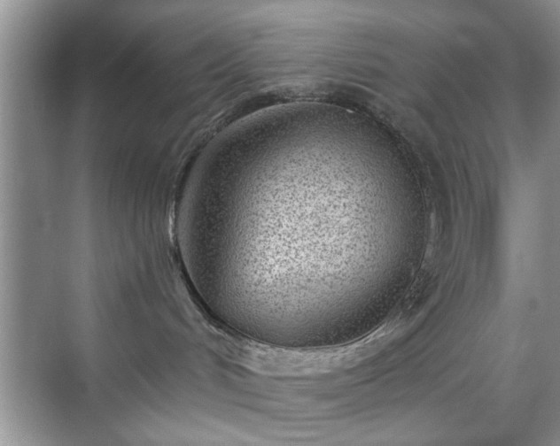 X0000070420048200606161449