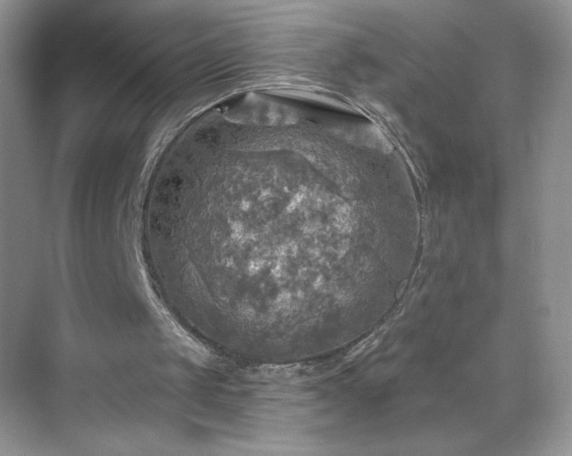 X0000070420049200606161448