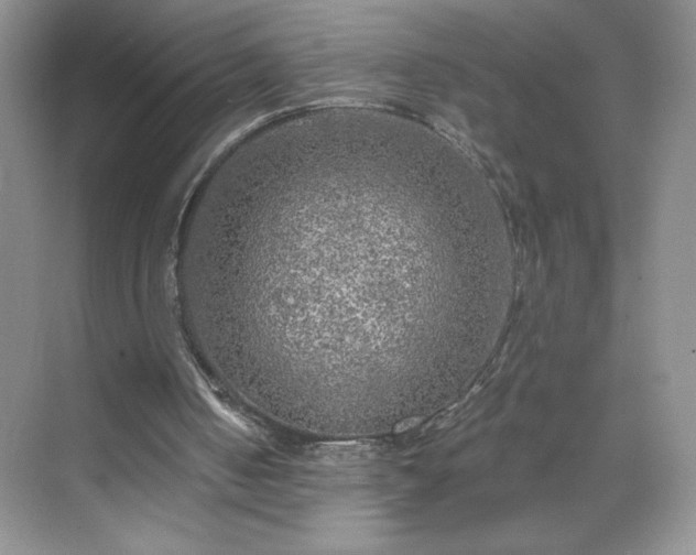 X0000070420050200606161448