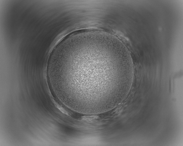 X0000070420051200606161448