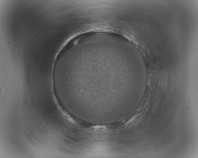 X0000070420052200606161448