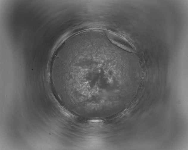 X0000070420053200606161448